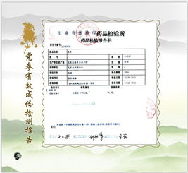 張掖民樂縣 守正創(chuàng)新筑基石，嚴(yán)把質(zhì)量?jī)傻狸P(guān)